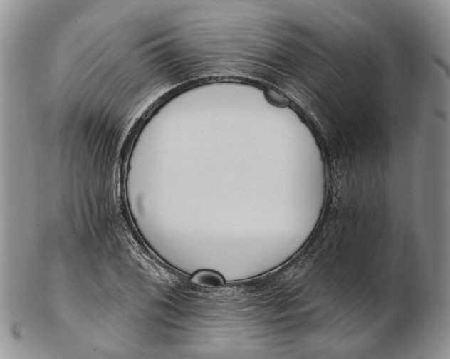 X0000102801076200809081107