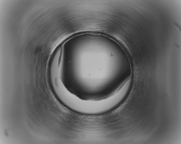 X0000102801077200809081107