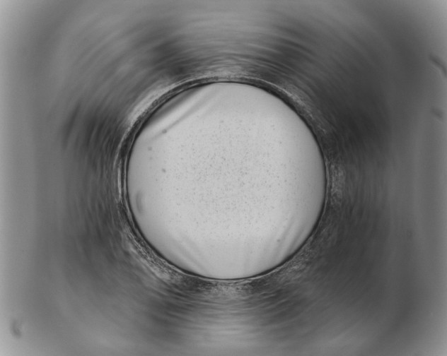 X0000102801078200809081107