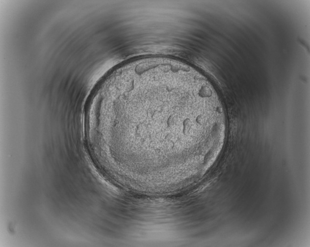 X0000102801079200809081107