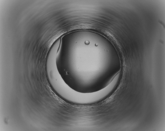 X0000102801081200809081107