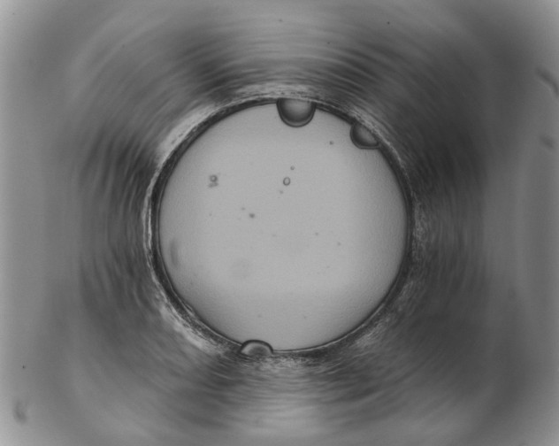 X0000102801082200809081107