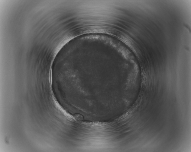 X0000102801084200809081107