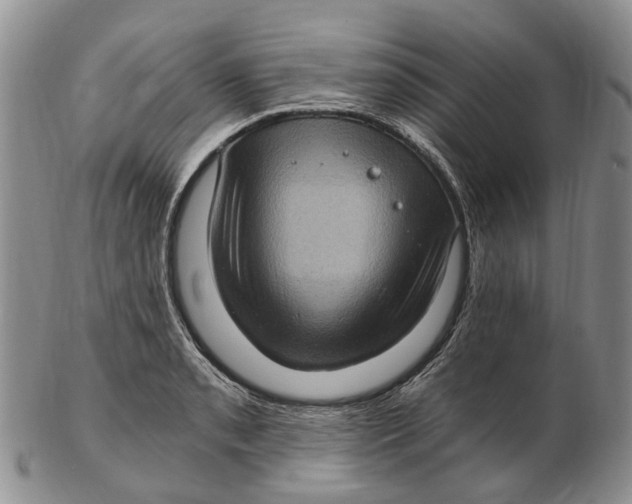 X0000102801085200809081107