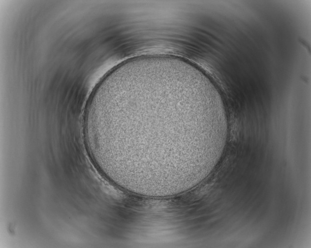 X0000102801086200809081107