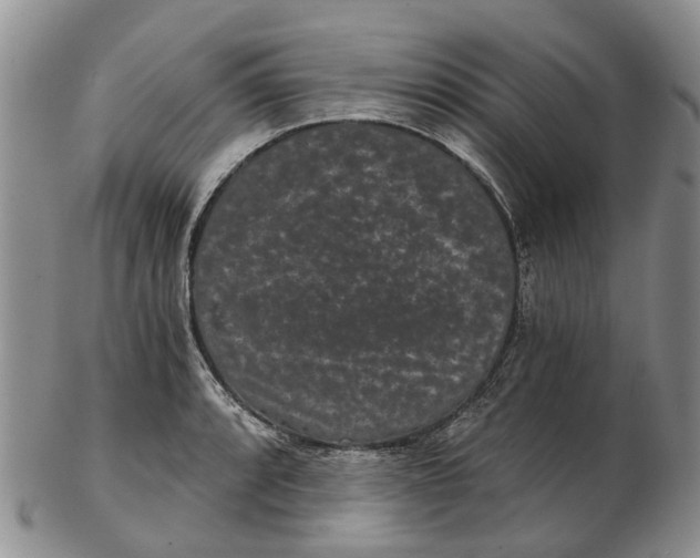 X0000102801088200809081107