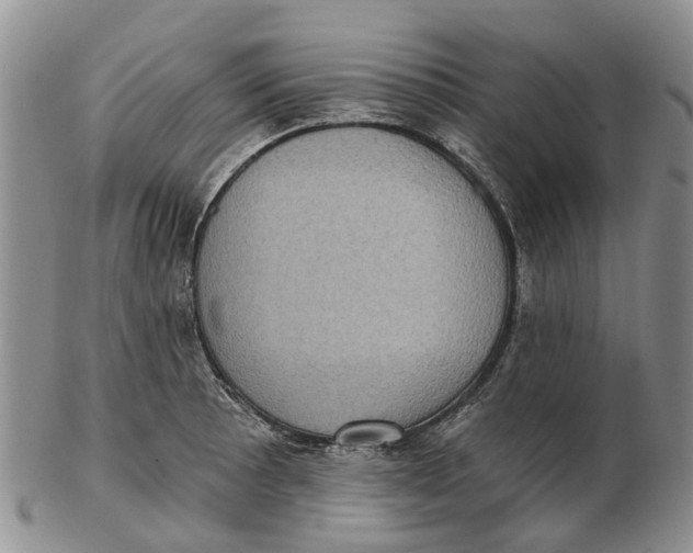 X0000102801089200809081107