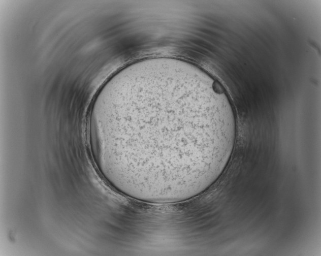 X0000102801090200809081107