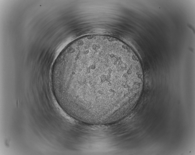 X0000102801091200809081107