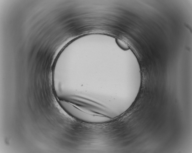 X0000102801092200809081107