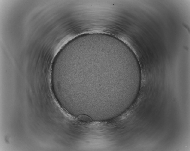 X0000102801093200809081107