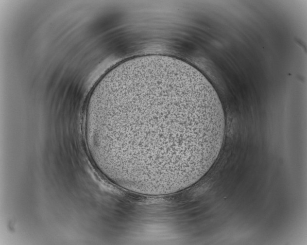 X0000102801094200809081107