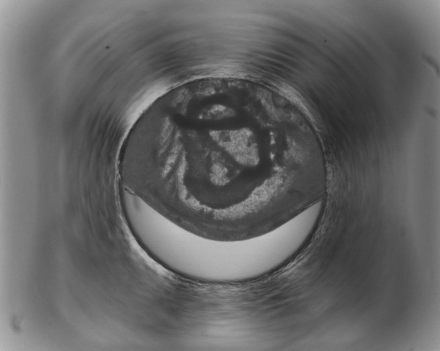 X0000102801095200809081107