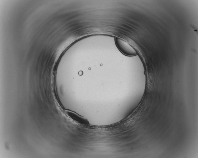 X0000102801096200809081107