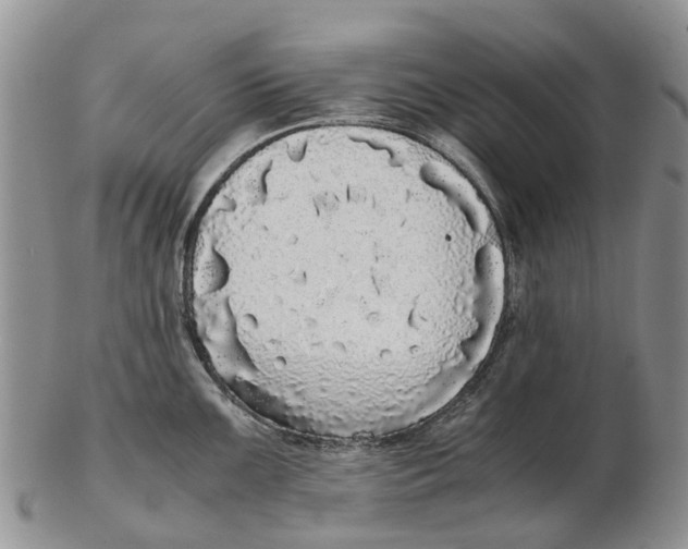 X0000102801099200809081107