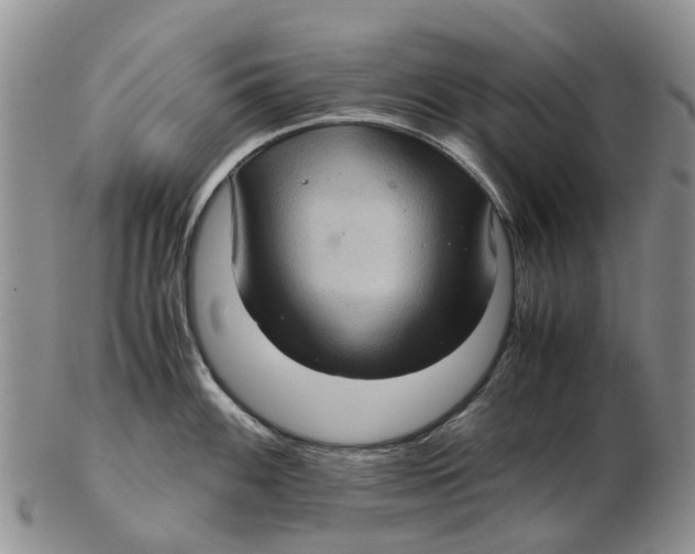 X0000102801100200809081106