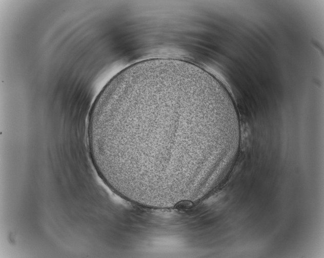 X0000102801103200809081106