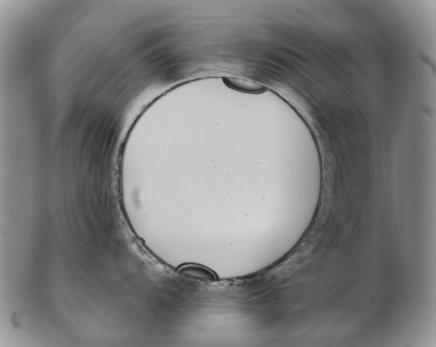 X0000102801104200809081106