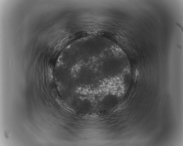 X0000102801106200809081106