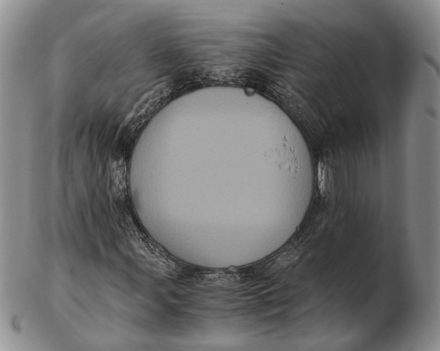 X0000102801107200809081106