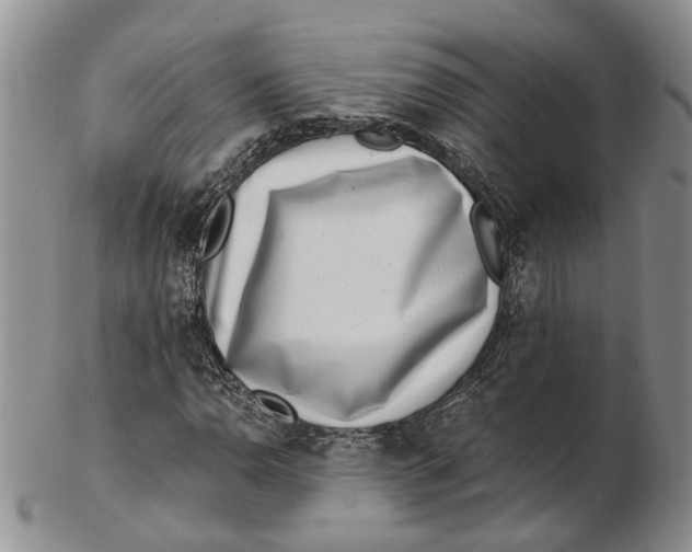 X0000102801110200809081106