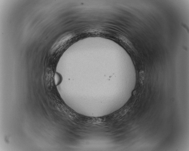 X0000102801111200809081106