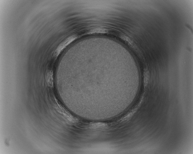 X0000102801113200809081106