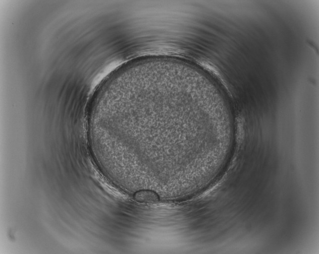 X0000102801114200809081106