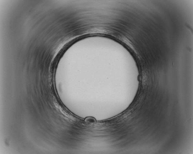 X0000102801116200809081106