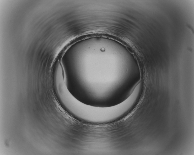 X0000102801118200809081106