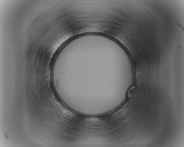 X0000102801119200809081106