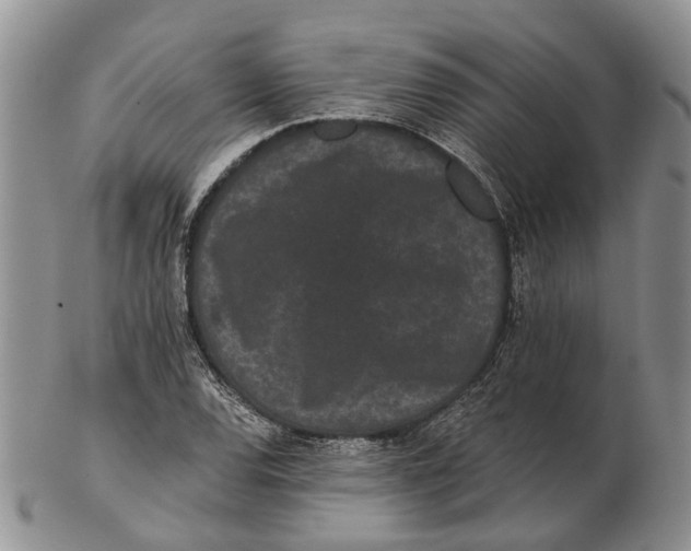 X0000102801120200809081106