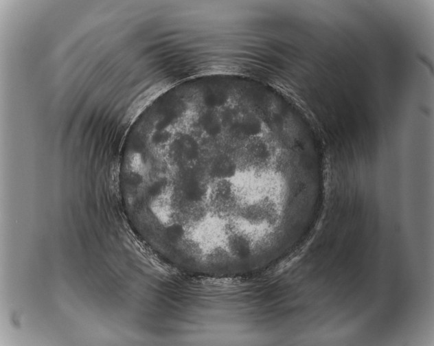 X0000102801121200809081106