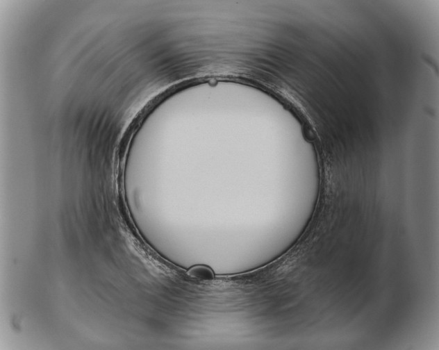 X0000102801124200809081106