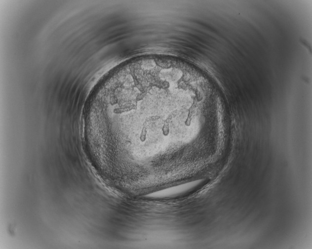 X0000102801125200809081106