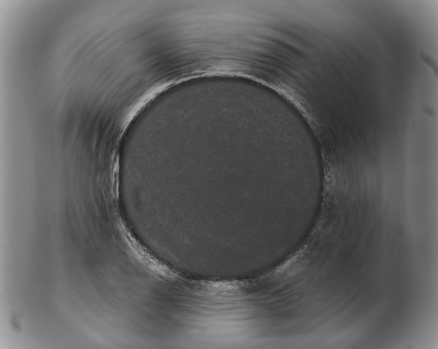 X0000102801126200809081106