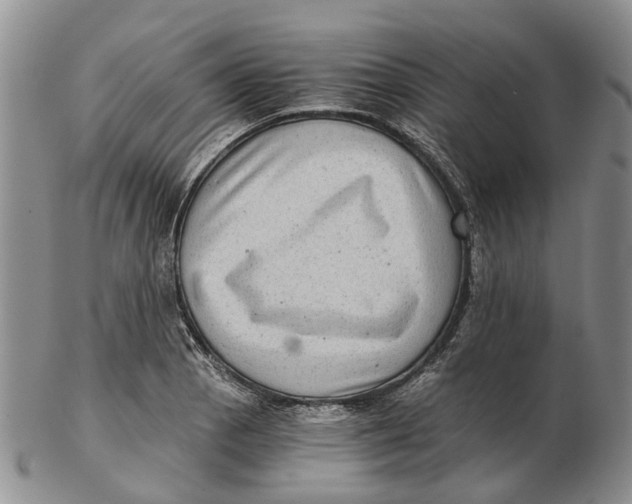 X0000102801129200809081106