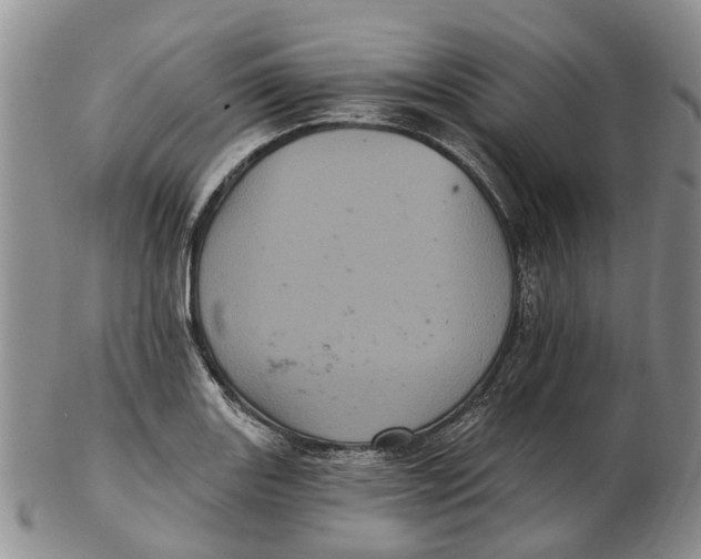 X0000102801131200809081106