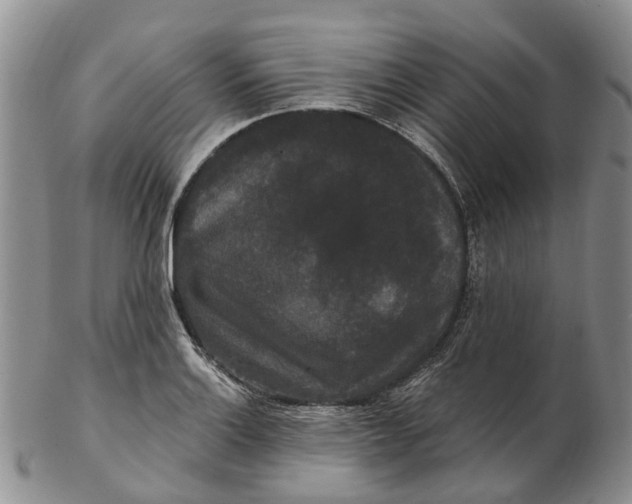 X0000102801132200809081106