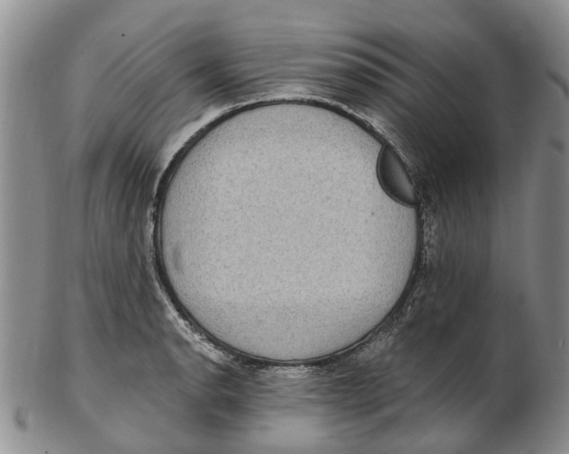 X0000102801134200809081106