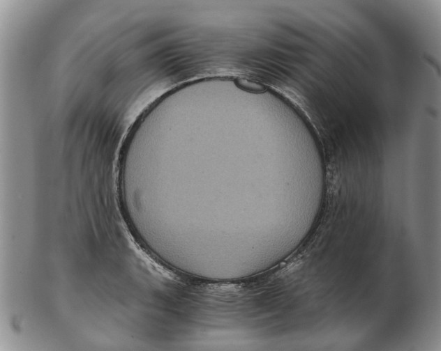 X0000102801135200809081106