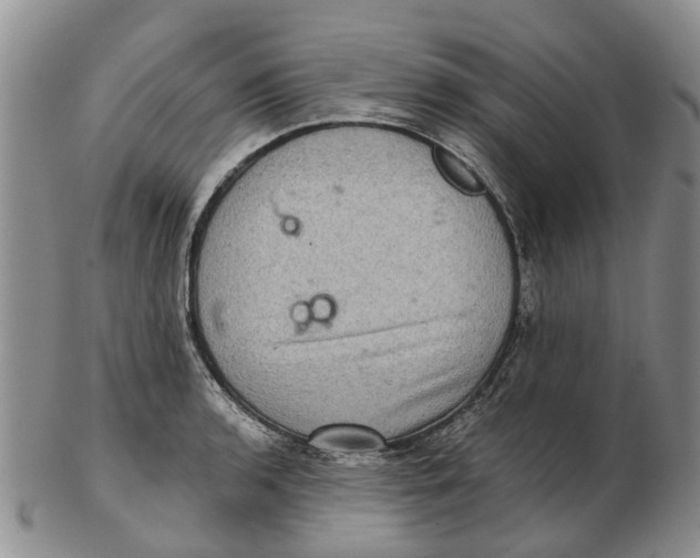 X0000102801136200809081106