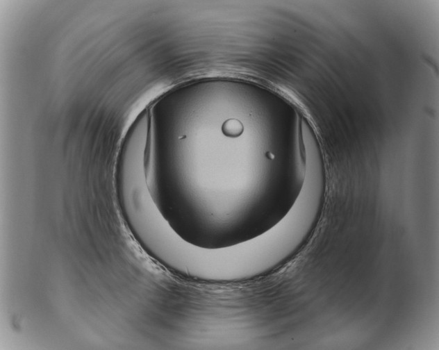 X0000102801138200809081106