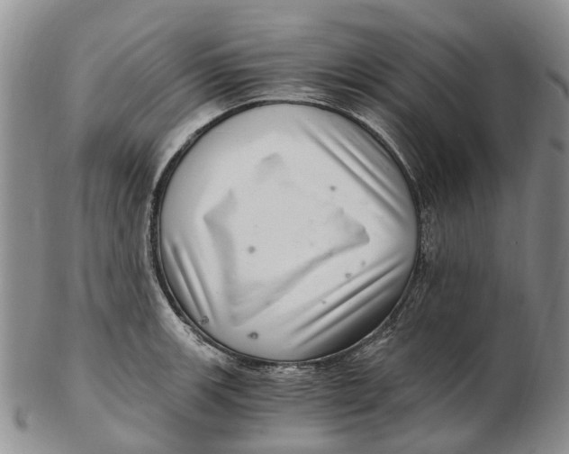 X0000102801139200809081106