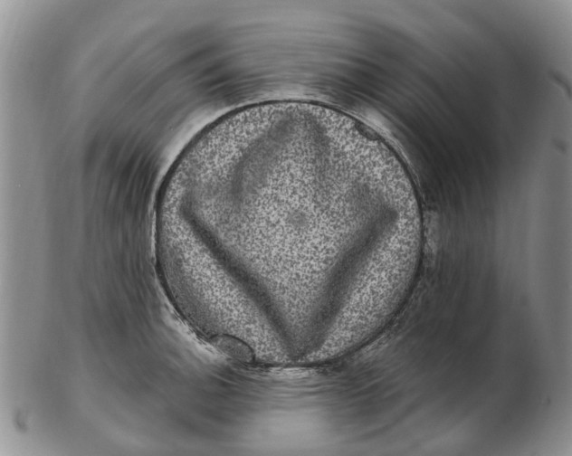 X0000102801140200809081106