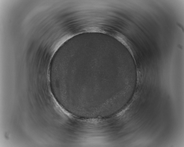 X0000102801141200809081106