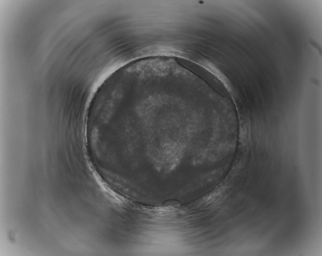 X0000102801144200809081106