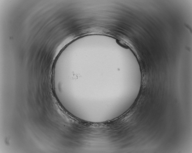 X0000102801146200809081106