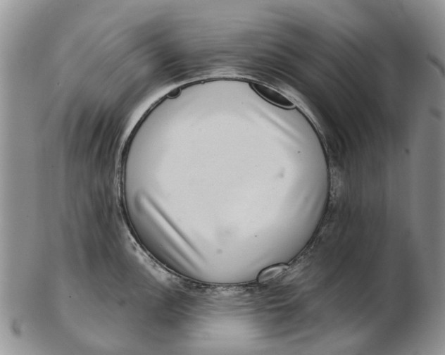 X0000102801148200809081106