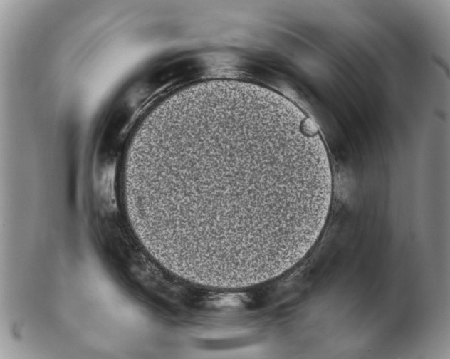 X0000102801150200809081106